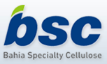 BSC